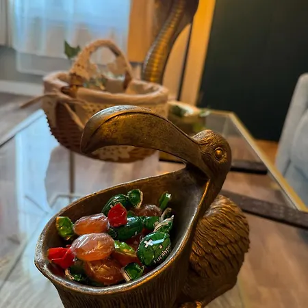 Le Jungle Apartment *