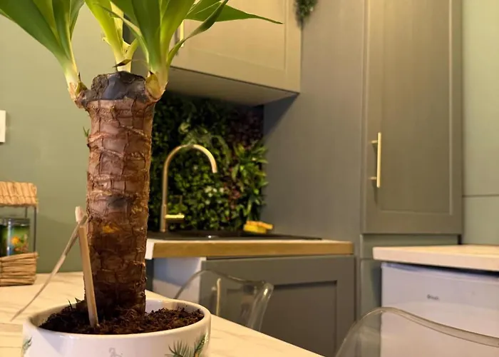 Appartement Le Jungle