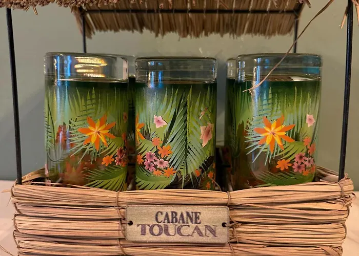 Le Jungle Appartement