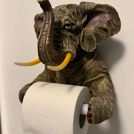 Apartamento Le Jungle *