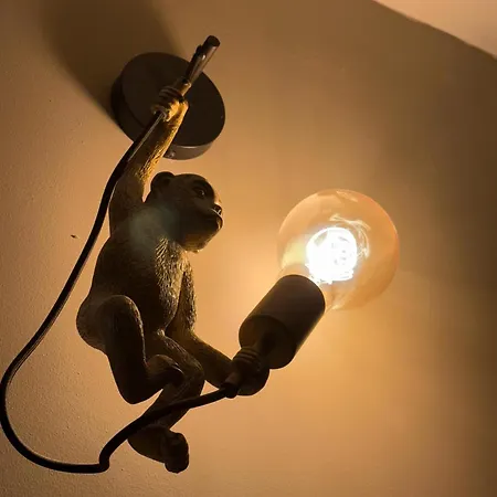 Le Jungle * ルルド