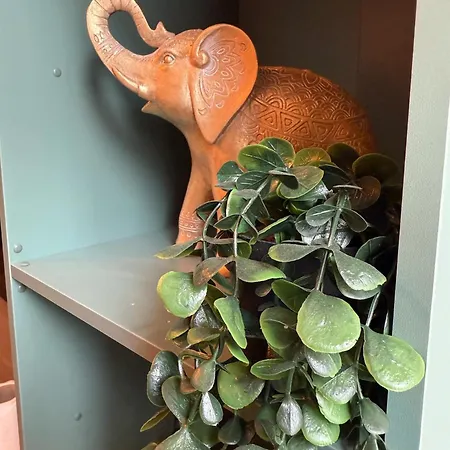 Le Jungle Appartement *