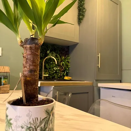 Apartamento Le Jungle