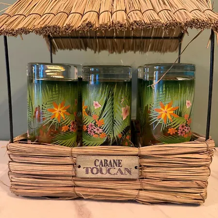 Le Jungle Appartement